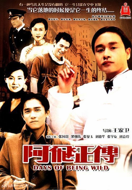 苏利文大学degree certificate